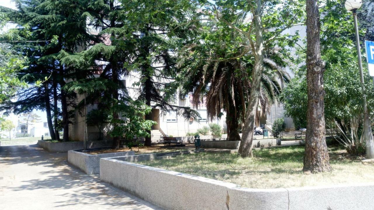 Apartments Zara- Zd Kültér fotó